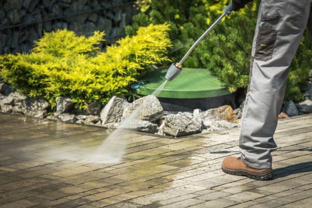 Best Solar Panel Cleaning  in Gastonville, PA